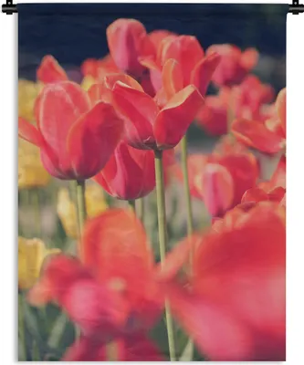 Produktbild von MuchoWow® Wandteppich Wandbehang Tulpen - Blumen - Natur 150x200 cm Tapisserie Dekoration Wandtuch - Wandaufhängung - Moderner