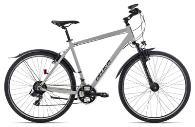 Produktbild von Ciclista All Road alltagstaugliches Herren-Crossbike 28 Zoll Hellgrau 60 cm