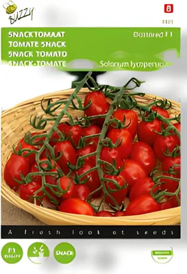 Produktbild von Snacktomate Dattored F1 | Snacktomatensamen von Buzzy Seeds