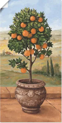 Produktbild von ARTland Poster Orangenbaum Größe: 50x100 cm