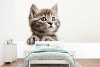 Produktbild von MuchoWow® Fototapete für Wohnzimmer oder Schlafzimmer Wandtapete Vinyl Motivtapete Katze - Grau - Tiere - 420x280 cm - Zimmer für Kinder