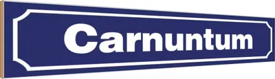 Produktbild von vianmo Holzschild 10x46 cm Garnuntum