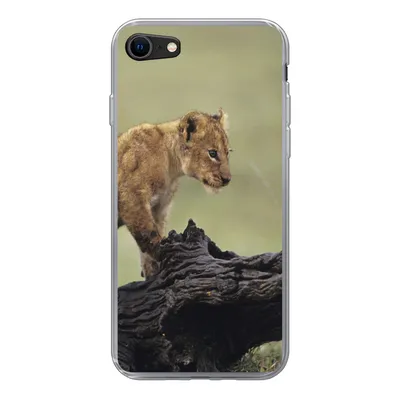 Produktbild von MuchoWow® Handyhülle Schutzhülle Hülle für iPhone 8 Löwe - Rüssel - Junge Silikon Softcase Handy Hülle - Schutzhaube
