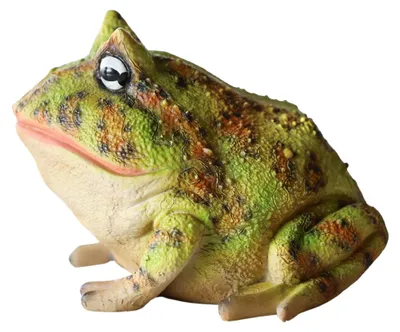 Produktbild von Handbemalte Froschfigur aus Kunstharz für den Garten – Wetterfeste Dekoration für drinnen und draußen, verspielte Figur für Naturliebhaber (13 cm hoch)