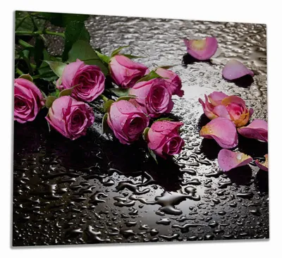 Produktbild von Wallario Herdabdeckplatte aus Glas, Größe 60 x 52 cm 1-teilig, Motiv Pinke Rosen mit Wassertropfen