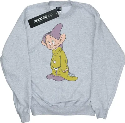 Produktbild von Disney - Sweatshirt für Herren BI48878 (L) (Grau)
