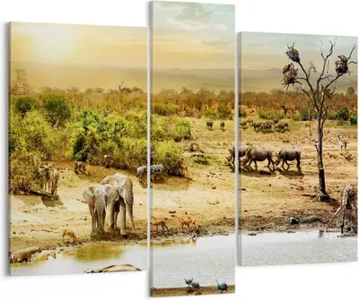 Produktbild von Bild auf Leinwand - Leinwandbild - Safari Tiere - 95x80cm - Wand Bild - Wanddeko - Wandbilder - Leinwanddruck - Bilder - Kunstdruck - Wanddekoration - Leinwand bilder - Wandkunst - CB95x80-3880