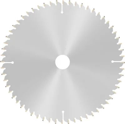 Image de Lame de scie circulaire AD 254mm Z.60 HLTCG perçage.30mm coupe-B.3,2mm HM BOSCH