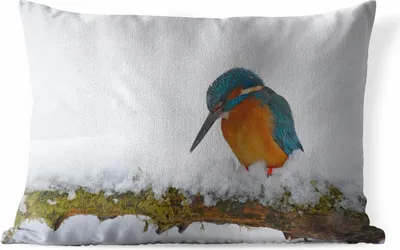 Produktbild von MuchoWow® Outdoor Kissen - Eisvogel - Schnee - Winter - 50x30 cm - Wetterfest - Lounge Kissen - Sofa kissen - Wohnzimmer Dekoration