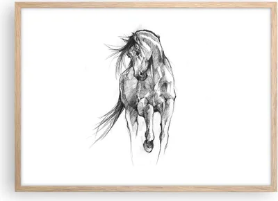 Produktbild von Gerahmtes Poster - Rahmen in heller Eiche - Pferd Galopp Tier - 70x50 cm - Wand Bild - Wanddeko - Wandbilder - Kunstposter - Wandposter - Bilderrahmen - Bilder - Kunstdruck - P2NAA70x50-5080