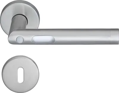 A silver-colored door handle and a matching escutcheon plate are shown against a white background.