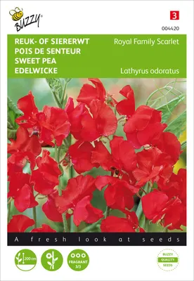 Produktbild von Edelwicke Royal Family Scarlachrot | Wickensamen von Buzzy Seeds