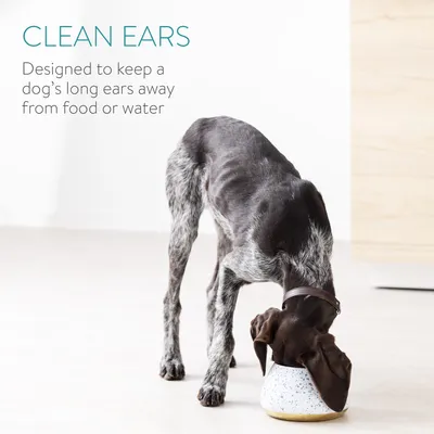 Produktbild von Navaris Design Futternapf aus Steingut - hoher Hundenapf - Fressnapf Futterschale - Napf für Cocker Spaniel Hund und langohrige Hunde - Langohrnapf