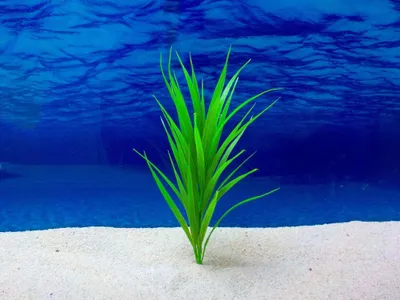 Produktbild von Amtra Bamboo L 17cm künstliche Pflanze Dekoration Aquarium