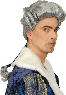 Produktbild von K11278503 grau Herren Barock-Rokoko Zopf Perücke