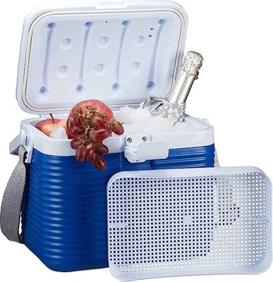 Produktbild von Famanu Kühlbox 8L mit Handgriff - Mini Thermobox