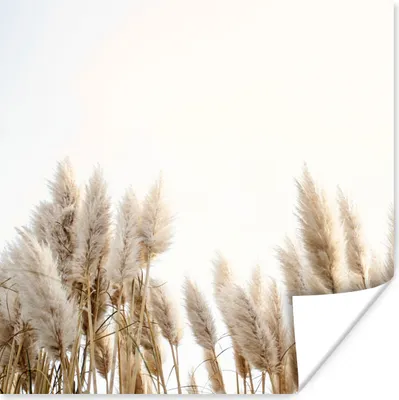 Produktbild von MuchoWow® Poster Körnung - Himmel - Pastell 75x75 cm - Wand Dekoration