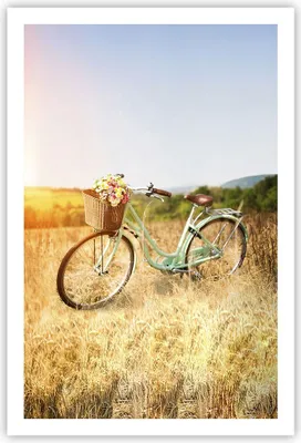 Produktbild von Poster - Poster ohne Rahmen - Fahrrad Wiese Blumen - 61x91,5 cm - Wand Bild - Wanddeko - Wandbilder - Kunstposter - Wandposter - Bilder - Kunstdruck - Wanddekoration - Wandbild - P2XPA61x91-4206