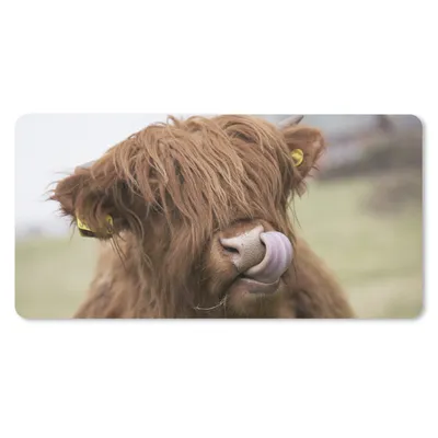 Produktbild von MuchoWow® Mauspad Mousepad Schottischer Highlander - Braun - Tiere 60x30 cm - Mousepads - Maus Mat - Pad - Mausunterlage - Nachhaltig