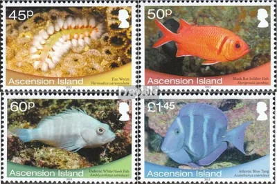 Produktbild von Briefmarken Ascension 2013 Mi 1225-1228 (kompl.Ausg.) postfrisch Flachmeerforschung