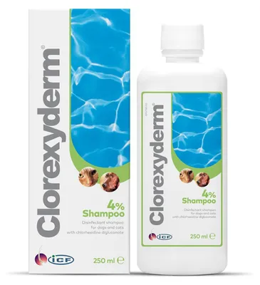 Produktbild von ICF Clorexyderm Shampoo 4 % Konzentrat 250 ml | für Hunde & Katzen | Haut & Fell