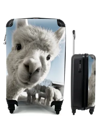 Produktbild von MuchoWow® Koffer Handgepäck Trolley Rollkoffer Kleine Reisekoffer mit 4 Rollen - Alpaka - Tier - Weiß - Cabin Size < 55x40x23 cm & 55x40x20 cm - Fotokoffer - Kabinenkoffer - Boardgepäck - Reise-Box - Reisekoffer - Reisegepäck - Koffer mit Bild - Trolley für Kinder