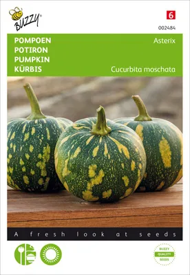 Produktbild von Kürbis Asterix | Kürbissamen von Buzzy Seeds