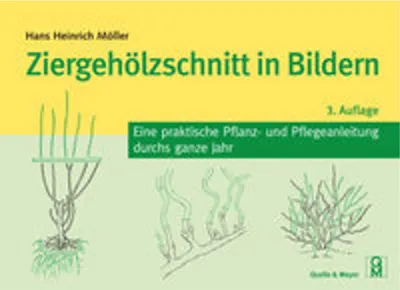 Image de Ziergehölzschnitt in Bildern
