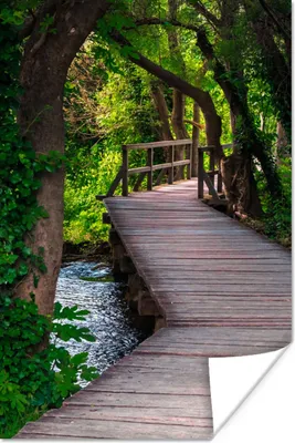 Produktbild von MuchoWow® Poster Wald - Natur - Brücke 40x60 cm - Plakate für die Wand - Poster Babyzimmer