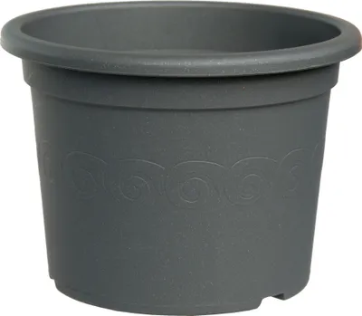 Zdjęcie produktu dla Opakowanie Plastia Narcissus - antracyt 23 cm