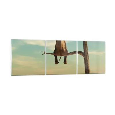 Produktbild von Bilder auf glas - 3 Teile - Elefant sitzend Ast - 150x50cm - Glasbilder - Wandbilder - Bilder - zum Aufhängen bereit - Wanddekoration aus Glas - Glas Bilder - Wandbild auf Glas - GCA150x50-4557