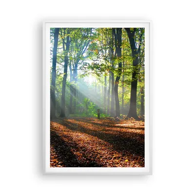 Produktbild von Gerahmtes Poster - Weißer Rahmen - Wald Blätter Sonne - 70x100 cm - Wand Bild - Wanddeko - Wandbilder - Kunstposter - Wandposter - Bilderrahmen - Bilder - Kunstdruck - Wandbild - P2WPA70x100-0136