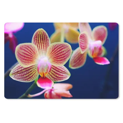Produktbild von MuchoWow® Mauspad Mousepad Von Orchidee 27x18 cm - Mousepads - Maus Mat - Pad - Mausunterlage - Büroartikel - Desk Matten