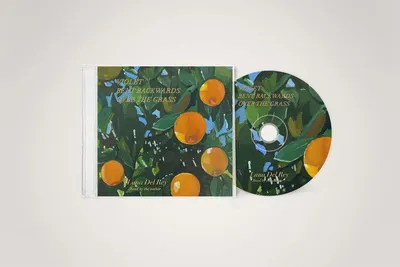 Produktbild von Violet Bent Backwards Over The Grass, 1 Audio-CD