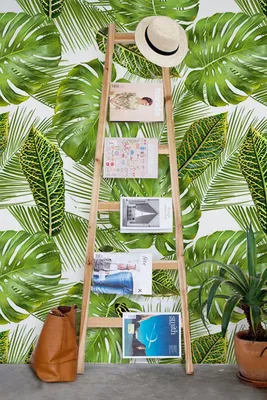 Produktbild von Coloray Fototapete 152x104 cm Vlies-Fototapete - Leavefog verlässt Monstera.