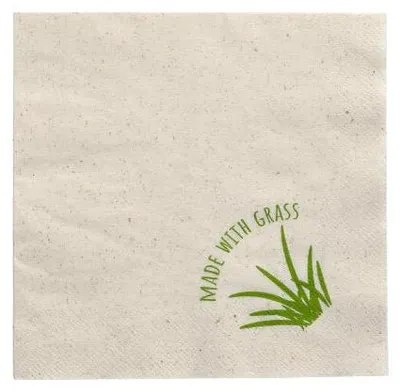 Image de PAPSTAR  89155 PAPSTAR Lunch-Servietten, 330 x 330 mm, 2-lagig, natur