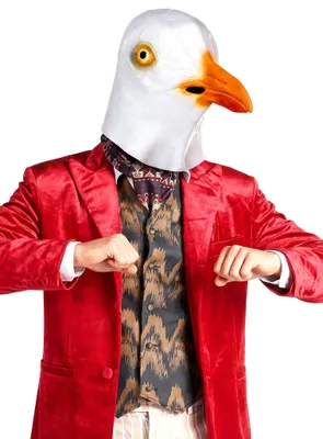 Image de Masque de mouette en latex