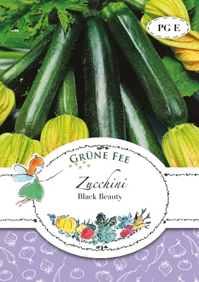 Produktbild von Grüne Fee - Zucchini  Black Beauty Samen - 11573