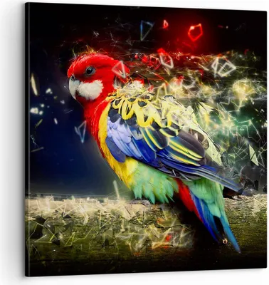 Produktbild von Bild auf Leinwand - Leinwandbild - Papagei Vogel Feder - 60x60cm - Wand Bild - Wanddeko - Wandbilder - Leinwanddruck - Bilder - Kunstdruck - Wanddekoration - Leinwand bilder - Wandkunst - AC60x60-3682