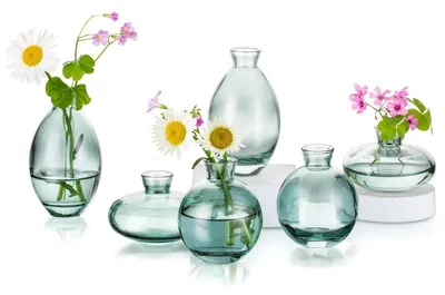 Image de Omgoods - Ensemble de 6 vases en verre pour la décoration de table