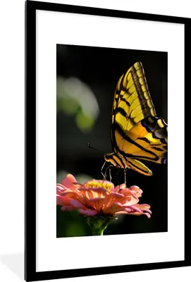 Produktbild von MuchoWow® Gerahmtes Poster Schmetterling - Botanisch - Blume 60x90 cm - Poster mit Schwarzem Bilderrahmen Wandposter Rahmen Foto Bilder - Dekoration - Wandposter Wohnzimmer - Hochwertig