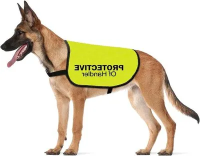 Image de Veste de protection pour chiens de sauvetage et chiens peureux - Taille L - Veste de protection pour chiens en dressage.