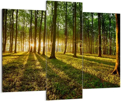 Produktbild von Bild auf Leinwand - Leinwandbild - Wald grün Sonnenstrahlen Natur - 130x100cm - Wand Bild - Wanddeko - Leinwanddruck - Bilder - Kunstdruck - Leinwand bilder - Wandkunst - CB130x100-2510