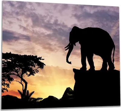 Produktbild von Wallario Herdabdeckplatte aus Glas, Größe 60 x 52 cm 1-teilig, Motiv Elefant vor Abendhimmel