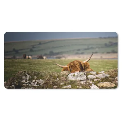 Produktbild von MuchoWow® Schreibtischunterlage Schottische Highlander - Steine - Gras 80x40 cm - XXL Mauspad - Gaming Mauspad