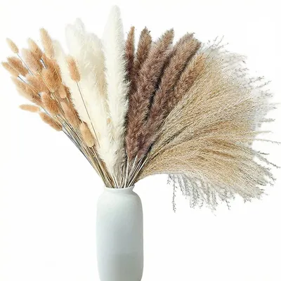 100er Set getrocknete Pampasblumen XXL, Boho-Deko 40 cm