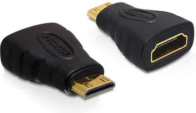 Image de DELOCK Adaptateur HDMI A -> mini C Bu/St