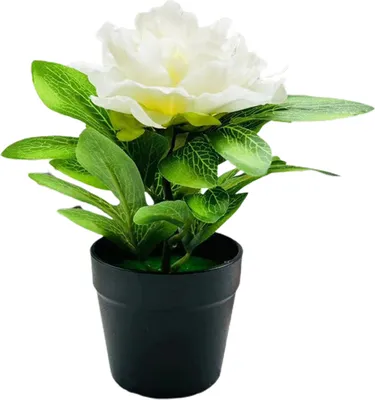 Produktbild von Künstliche Pfingstrose im Topf, für Zuhause, Büro, Wohnzimmer, Tischdekoration, Hochzeit, Kunstblumen, Pflanzen, Bonsai, für drinnen und draußen, Schreibtischdekoration