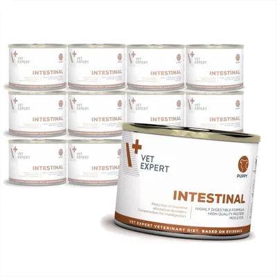 Produktbild von VetExpert Veterinary Diet Intestinal Puppy 12x200g Nassfutter für Welpen mit Verdauungsstörungen