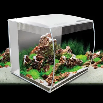Productafbeelding van Fluval Flex | 57L | 41 x 39 x 39CM Wit Aquarium complete set